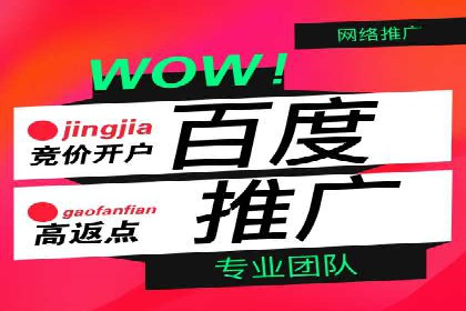 百度竞价托管公司成功案例：打造行业领先品牌